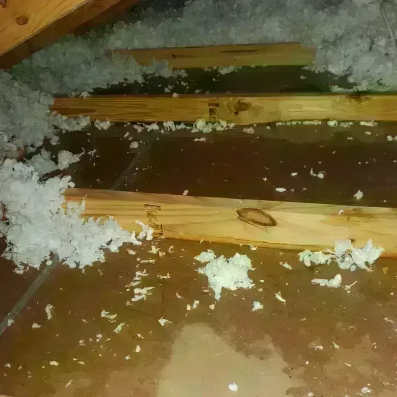 Attic Water Damage in Whitinsville, MA